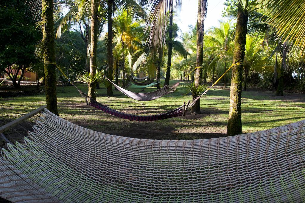 Turtle Beach Lodge Tortuguero Eksteriør bilde