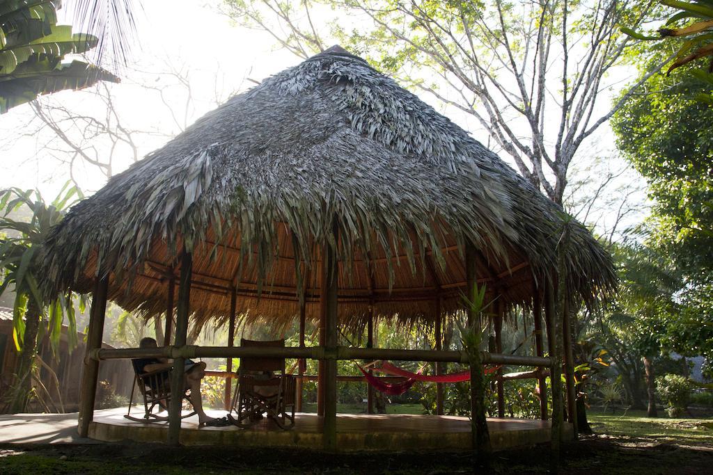 Turtle Beach Lodge Tortuguero Eksteriør bilde