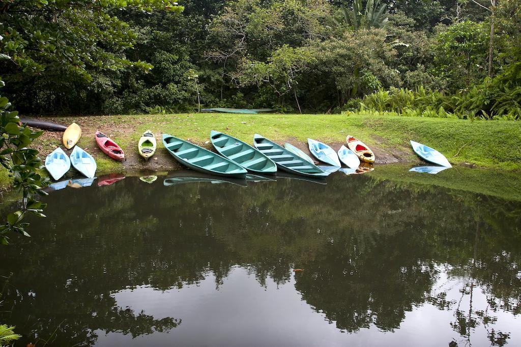 Turtle Beach Lodge Tortuguero Eksteriør bilde