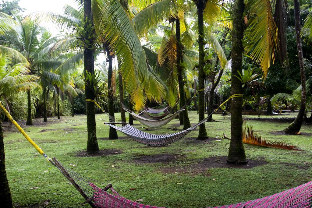 Turtle Beach Lodge Tortuguero Eksteriør bilde