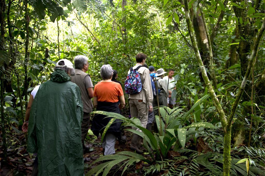 Turtle Beach Lodge Tortuguero Eksteriør bilde